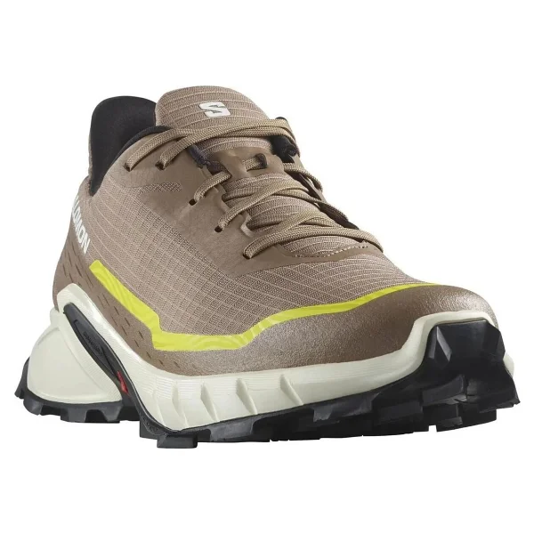 Salomon Alphacross 5 Erkek Koşu Ayakkabısı - Görsel 5