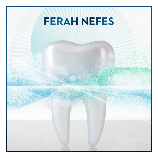 Oral-B Diş Eti ve Minesi Onarım Ferah Nane 500 ml Gargara - Görsel 6