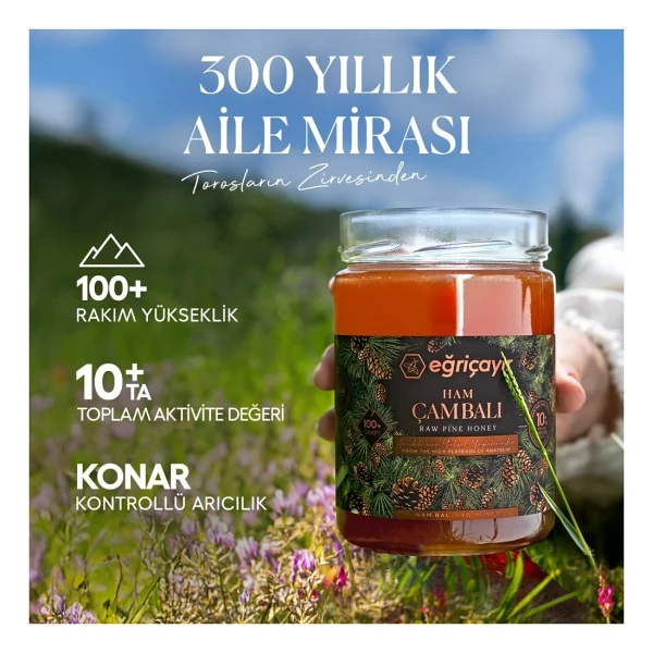 Eğriçayır Ham Çam Balı TA10+ 850G (Hakiki, Doğal) - 850 gr - Görsel 2