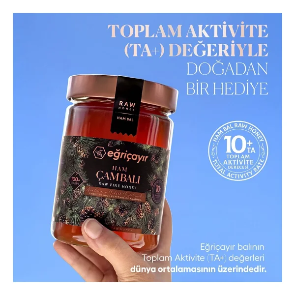 Eğriçayır Ham Çam Balı TA10+ 850G (Hakiki, Doğal) - 850 gr - Görsel 3