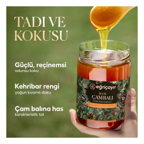 Eğriçayır Ham Çam Balı TA10+ 850G (Hakiki, Doğal) - 850 gr - Görsel 5