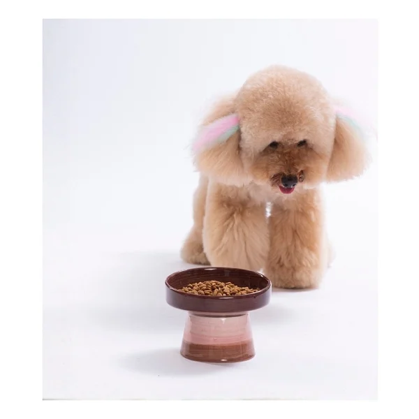 Pawstar Eğimli Yüksek Seramik Mama Kabı - 350 ml- Yeşil Desen - Görsel 4
