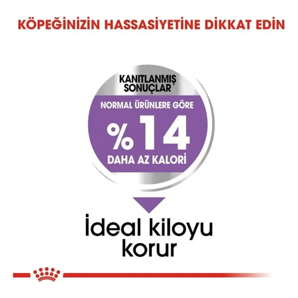 Royal Canin Mini Sterilised 3 kg Küçük Irk Kısırlaştırılmış Yetişkin Köpek Maması - Görsel 4