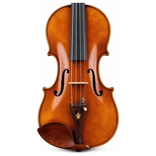 Bogenholz Nicola Amati Model 4/4 El Yapımı Keman - Görsel 4