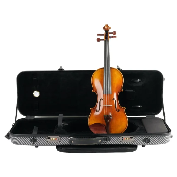 Bogenholz Nicola Amati Model 4/4 El Yapımı Keman - Görsel 6