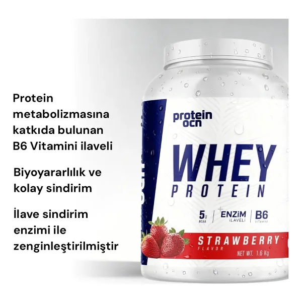 Proteinocean 1600 gr Çilek Aromalı Whey Protein Tozu - Görsel 4