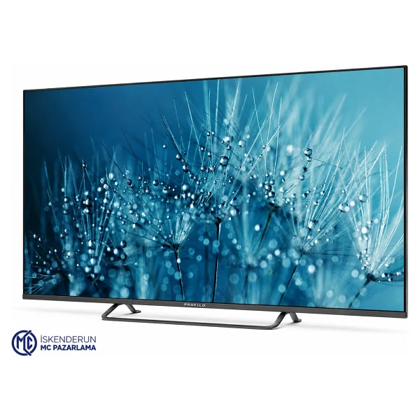 Profilo 55PA545EQG 4K Ultra HD 55" 140 Ekran Uydu Alıcılı Smart QLED TV - Görsel 10