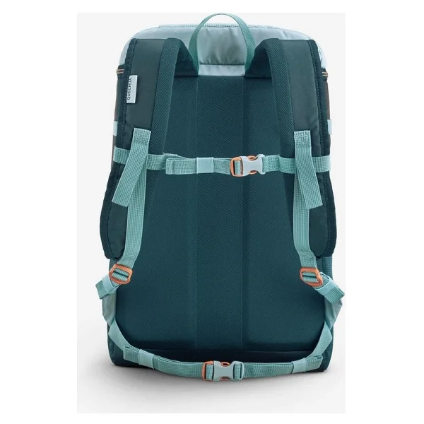 Quechua 100 20 lt Soğutucu Sırt Çantası - Görsel 4