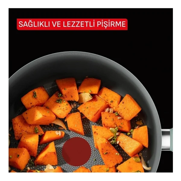Tefal Halo Okaliptus 24 cm Derin Tencere - Görsel 10