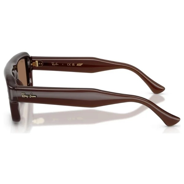 Ray-Ban Flacko Puffer 4954 689673 Transparent Dark Brown-Brown Güneş Gözlüğü - Görsel 6