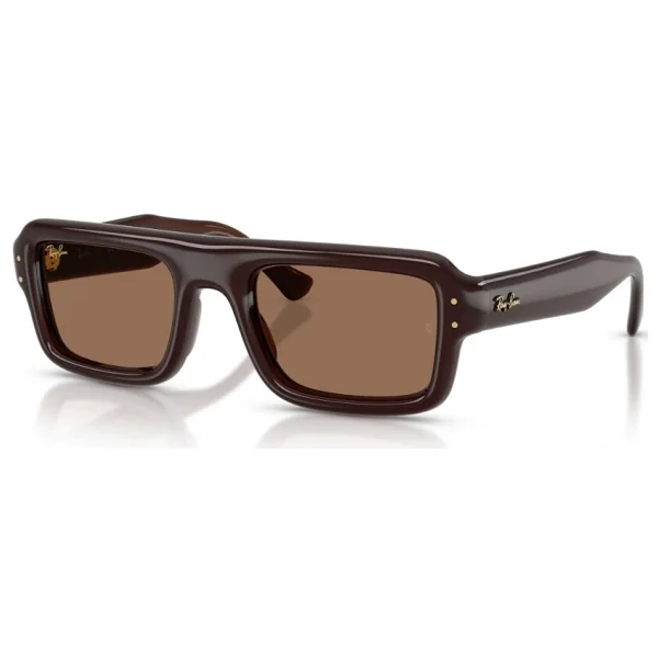 Ray-Ban Flacko Puffer 4954 689673 Transparent Dark Brown-Brown Güneş Gözlüğü - Görsel 8