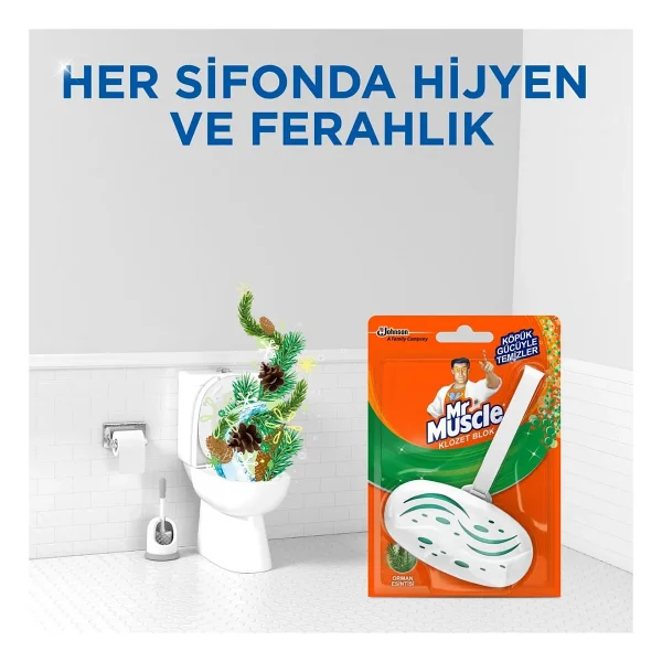 Mr. Muscle Orman Esintisi 40 gr Klozet Blok Koku Giderici - Görsel 6