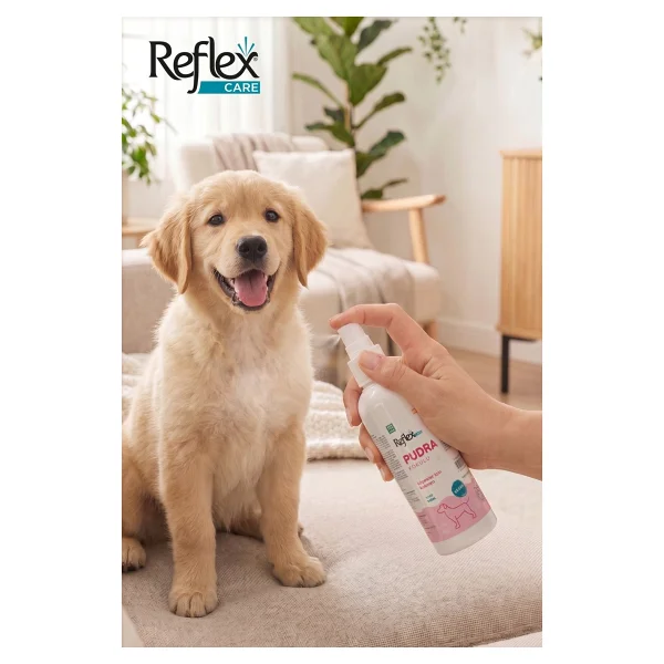 Reflex Care Pudra Kokulu 125 ml Köpek Kolonyası - Görsel 2