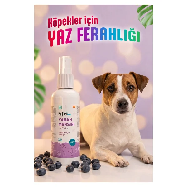Reflex Care Yaban Mersini Kokulu 125 ml Köpek Kolonyası - Görsel 6