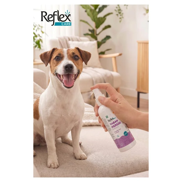 Reflex Care Yaban Mersini Kokulu 125 ml Köpek Kolonyası - Görsel 7
