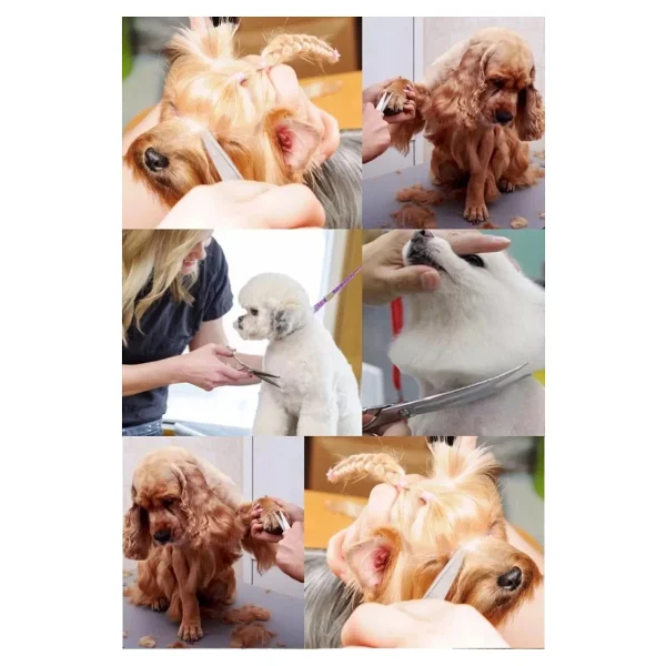 xolo Kavisli Rainbow Petshop Kuaför Kedi Köpek Evcil Hayvan Makası Saç Şekil Verme Makası Xlq510 - Görsel 4