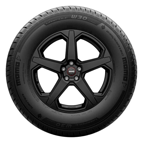 Momo Van Pole W-30 205/65 R16C 107/105R Kış Lastiği - Görsel 10