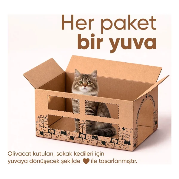 Olivacat Zeytin Çekirdeğinden Üretilen Aktif Karbonlu Tozsuz Doğal Kedi Kumu 8 L 3 Adet - Görsel 3