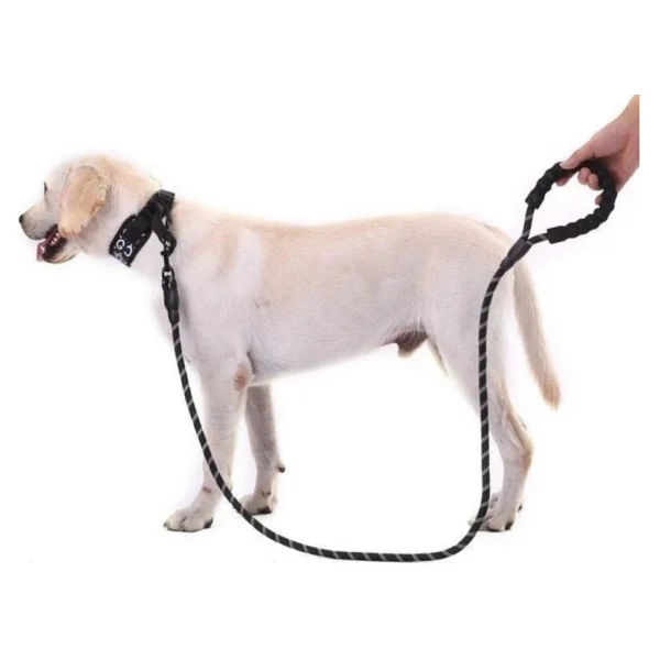 Köpekler İçin Gezdirme Tasması Reflektörlü 130 Cm Halat Orta Ve Büyük Boy Köpekler İçin Siyah - Görsel 7