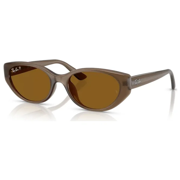 Ray-Ban 4457D 677983 Transparent Brown-Dark Brown Polarize Güneş Gözlüğü - Görsel 7