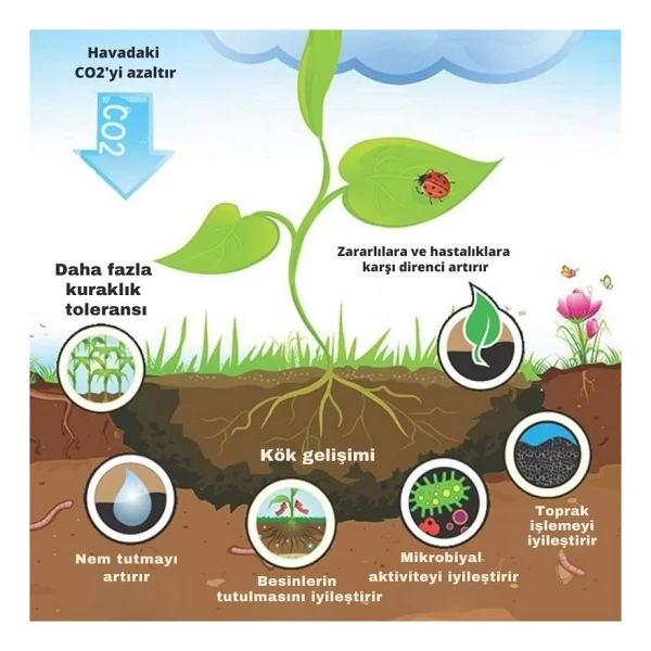 Prechar Meşe Odunu Bazlı Karbon Toprak Düzenleyici 5L Biochar 3Mm Ve Altı - Görsel 3