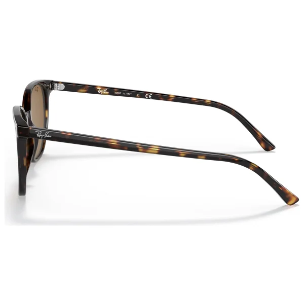 Ray-Ban Elliot 2197 Güneş Gözlüğü - Görsel 2