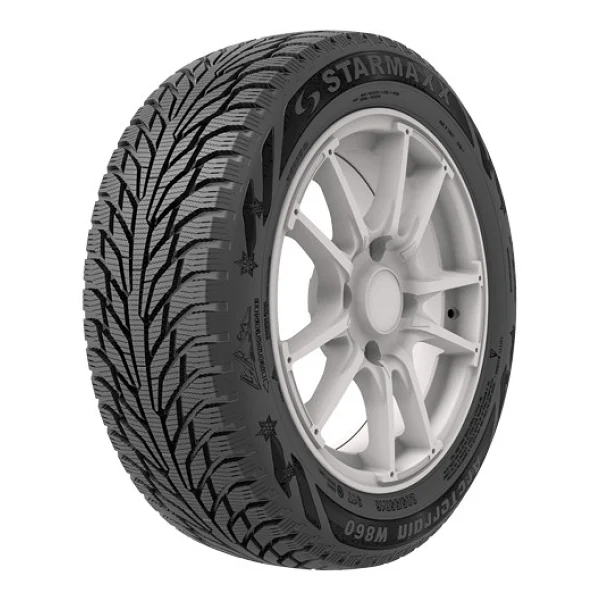 Starmaxx Arcterrain W860 205/55 R16 91T Kış Lastiği - 2025 - Görsel 4