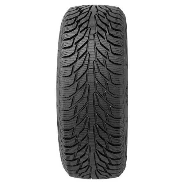 Starmaxx Arcterrain W860 205/55 R16 91T Kış Lastiği - 2025 - Görsel 2