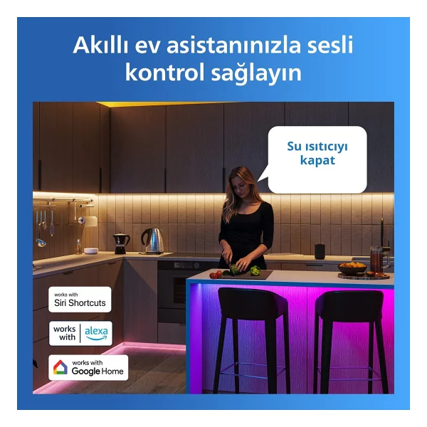 Philips Smart F Tipi Matter Akıllı Priz - Görsel 9