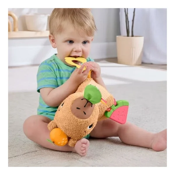 Fisher Price Yumuşak Kapibara Peluş HYR54 - Görsel 4