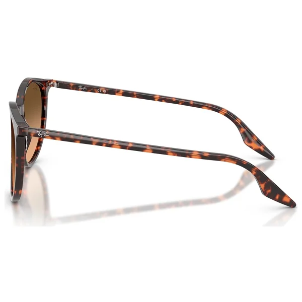 Ray-Ban 2204 14293B Havana Red-Pink Güneş Gözlüğü - Görsel 3