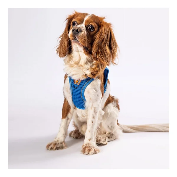 Pawstar Mavi Air-mesh Göğüs Tasması Kedi Köpek Göğüs Tasması Mavi 3XS - Görsel 6