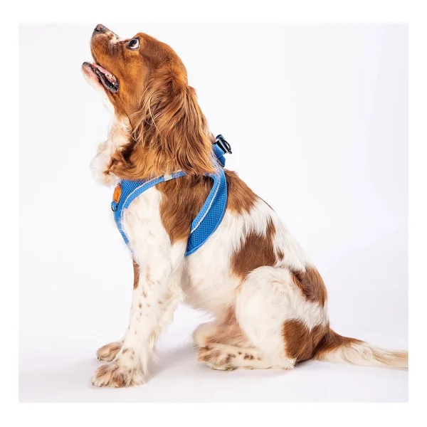 Pawstar Mavi Air-mesh Göğüs Tasması Kedi Köpek Göğüs Tasması Mavi 3XS - Görsel 7