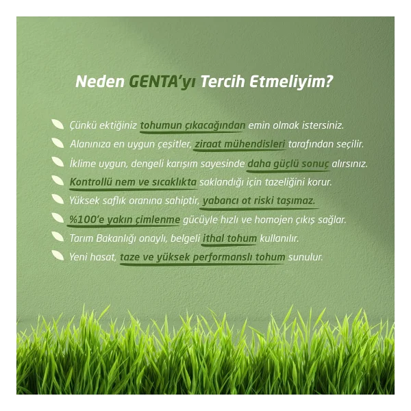 Genta Prestige Tamir Yama Çim Tohumu 1 kg - Görsel 4