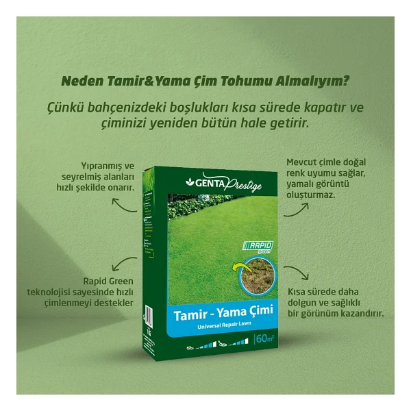 Genta Prestige Tamir Yama Çim Tohumu 1 kg - Görsel 2