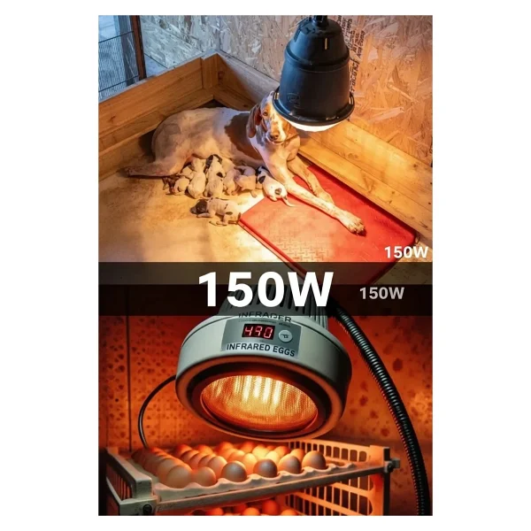 Epilons 150W Kızılötesi (Infrared) Isıtıcılı Hayvan Isıtma ve Kuluçka Lambası (Kırmızı Işık) E27 (Kalın Duy) - Görsel 5