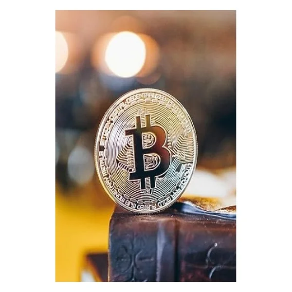 5DM-Bitcoin Madeni Hatıra Parası Madeni Bitcoin Hediye Sikke Para - Görsel 3
