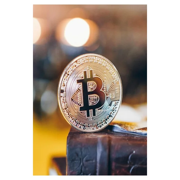 5DM-Bitcoin Madeni Hatıra Parası Madeni Bitcoin Hediye Sikke Para - Görsel 2