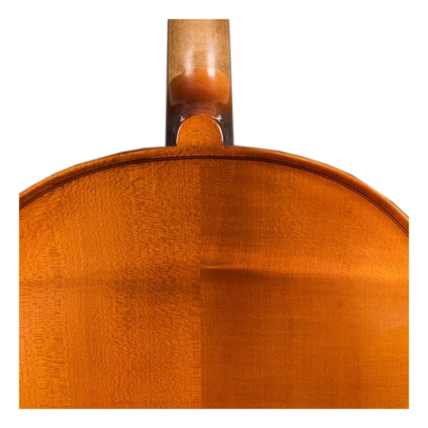 Hora C100 Çello 4/4 - Görsel 10