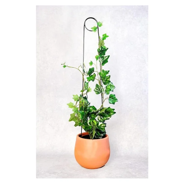 Adet Bitki Destek Çubuğu - Altın Rengi ve Siyah Metal Kancalıiğne Model, 65 Cm, Sarmaşık ve Büyük Yapraklı Bitkiler Için - Görsel 4