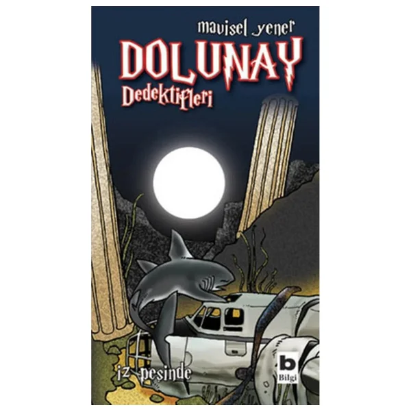 Dolunay Dedektifleri 1 - İz Peşinde - Mavisel Yener - Görsel 3