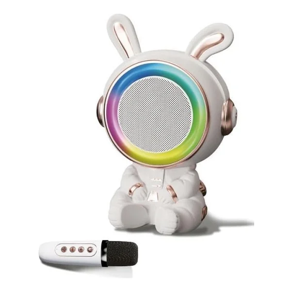Sunix Bts-252 20 W Mikrofonlu Bluetooth Hoparlör-Ambalaj Hasarlı (Sıfır Kondisyonda) - Görsel 2