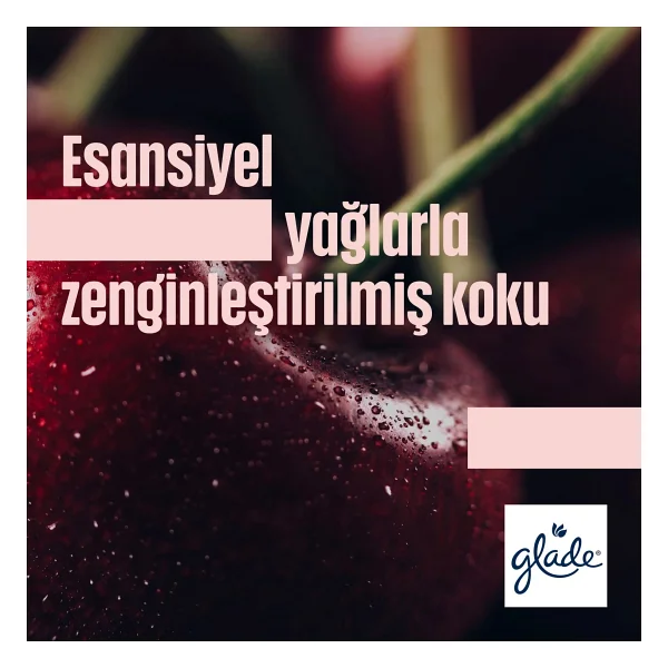 Glade Çubuklu Oda Kokusu Cherry Bloom 100 ml - Görsel 3