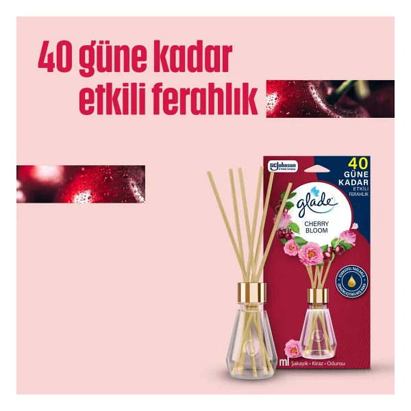 Glade Çubuklu Oda Kokusu Cherry Bloom 100 ml - Görsel 5