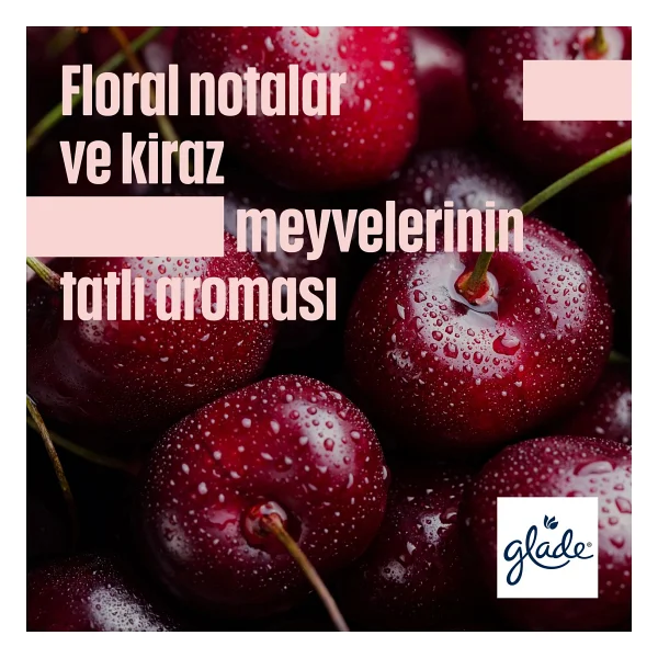 Glade Çubuklu Oda Kokusu Cherry Bloom 100 ml - Görsel 7