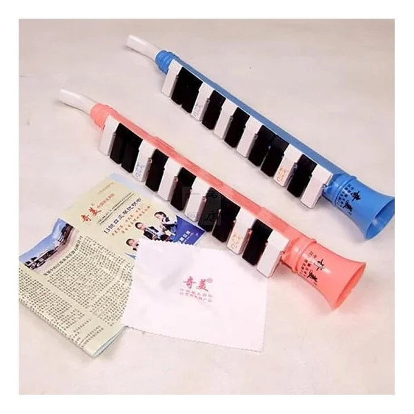 Ağızlık Çocuklar Yeni Başlayanlar Melodika 13 Tuşlu Melodika Için Melodika Enstrümanı 13 Tuş Müzik Aleti Keytar Yeni Başlayanlar Için Enstrüman Reçine Öğrenci Piyano Çalmak Bulmaca - Görsel 7