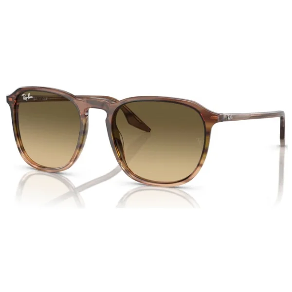 Ray-Ban 2203 Güneş Gözlüğü - Görsel 2