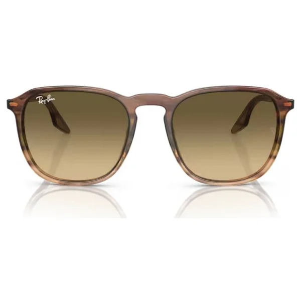 Ray-Ban 2203 Güneş Gözlüğü - Görsel 4