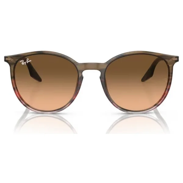 Ray-Ban 2204 Güneş Gözlüğü - Görsel 4