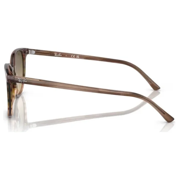 Ray-Ban Elliot 2197 13920A Brown/Green-Brown Güneş Gözlüğü - Görsel 3